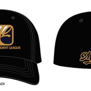 Mavericks League Official League Hat Flex Fit
