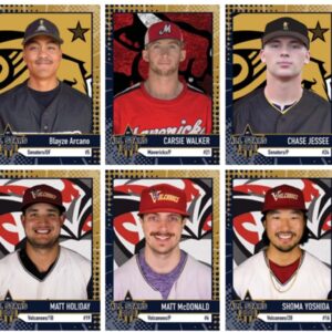 2022 Mavericks League All Stars - set of 18 cards